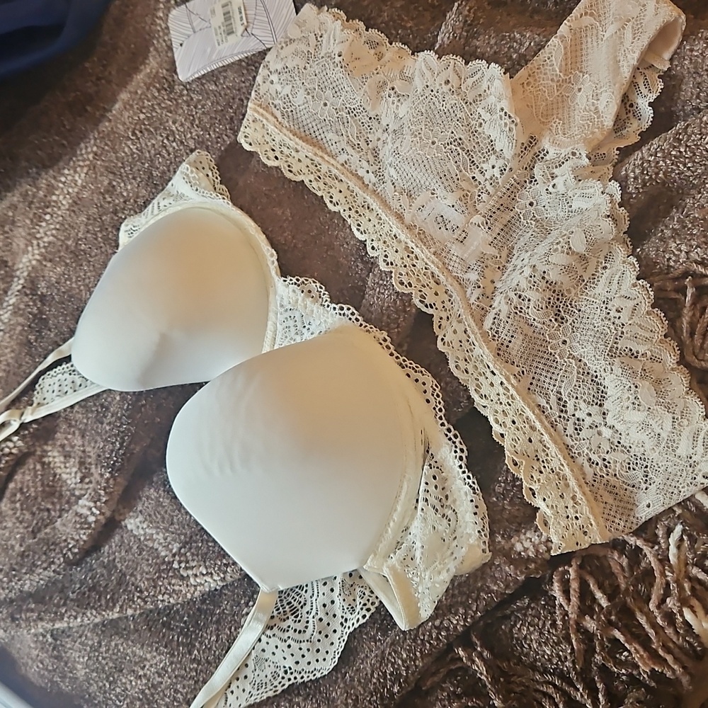 New Tags Laced Columbia Lux Designer TANIA Seperates M Panties 36B Underwire NWT